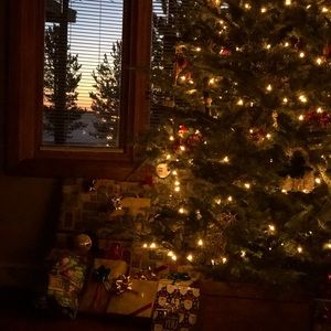 Meet your Posher, Ira